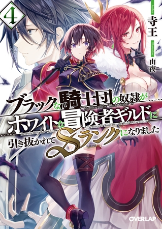 ブラックな騎士団の奴隷がホワイトな冒険者ギルドに引き抜かれてSランクになりました 4