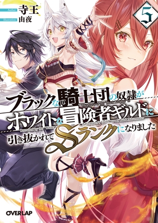 ブラックな騎士団の奴隷がホワイトな冒険者ギルドに引き抜かれてSランクになりました 5