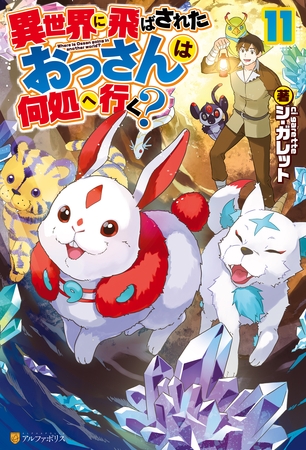 異世界に飛ばされたおっさんは何処へ行く？１１