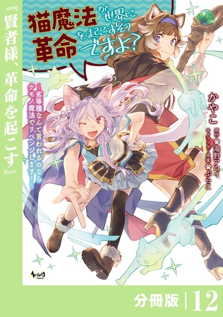 猫魔法が世界に革命を起こすそうですよ？【分冊版】（ノヴァコミックス）１２