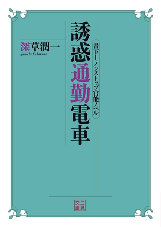 誘惑通勤電車