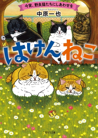 はけんねこ～今宵、野良猫たちにしあわせを～