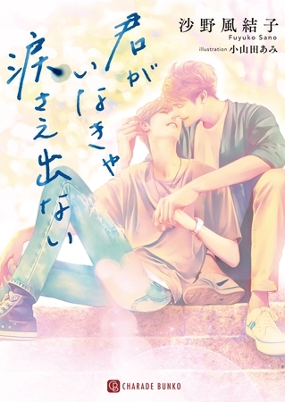 君がいなきゃ涙さえ出ない【特別版】