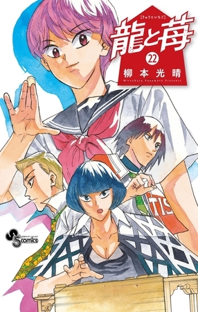 龍と苺 22