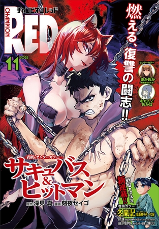 チャンピオンRED　2025年11月号