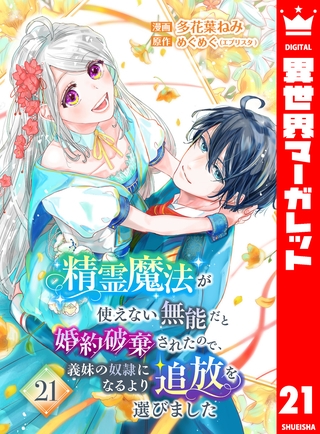 精霊魔法が使えない無能だと婚約破棄されたので、義妹の奴隷になるより追放を選びました 21