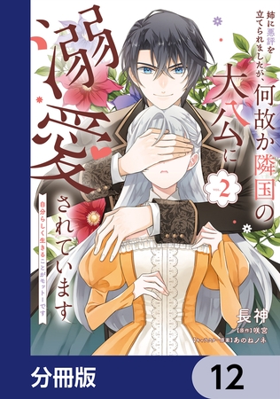 姉に悪評を立てられましたが、何故か隣国の大公に溺愛されています【分冊版】　12