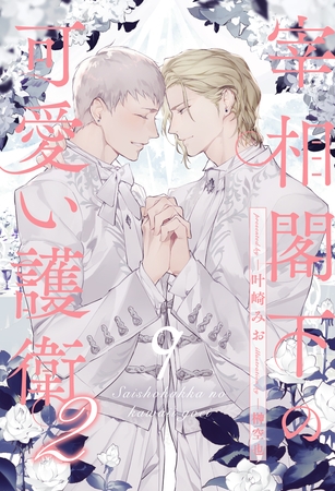 宰相閣下の可愛い護衛２【９】