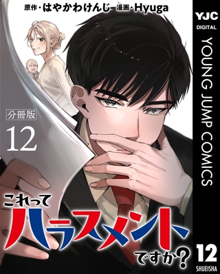 これってハラスメントですか？ 分冊版 12