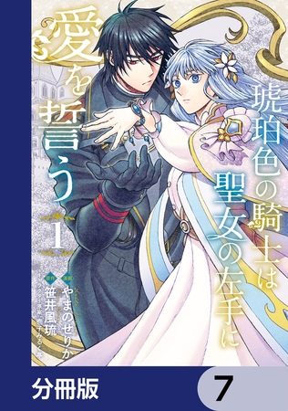 琥珀色の騎士は聖女の左手に愛を誓う【分冊版】　7