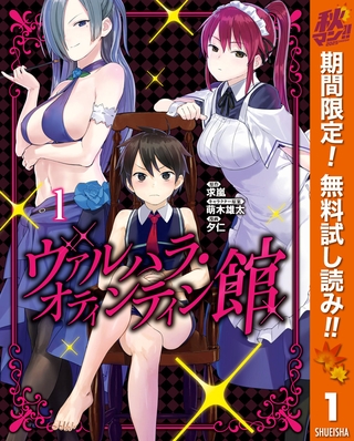 ヴァルハラ・オティンティン館【期間限定無料】 1