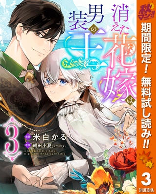 消えた花嫁は男装の王【期間限定無料】 3