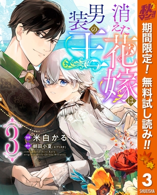 消えた花嫁は男装の王【期間限定無料】 3