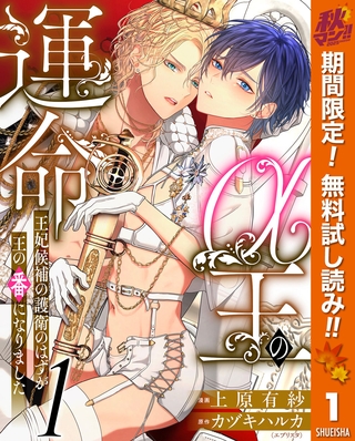 α王の運命～王妃候補の護衛のはずが王の番になりました～【期間限定無料】 1