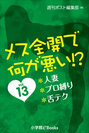 メス全開で何が悪い！？　vol.13～人妻、プロ縛り、舌テク～