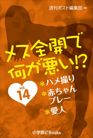 メス全開で何が悪い！？　vol.14～ハメ撮り、赤ちゃんプレー、愛人～