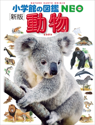 小学館の図鑑NEO〔新版〕動物