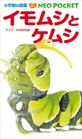 小学館の図鑑NEOポケット イモムシとケムシ　～チョウ・ガの幼虫図鑑～