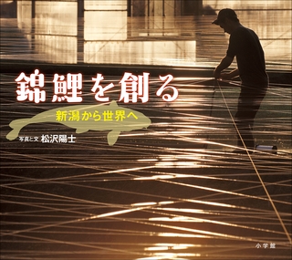 錦鯉を創る ～新潟から世界へ～（小学館の図鑑NEOの科学絵本）