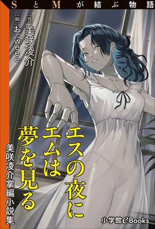 SとMが結ぶ物語「エスの夜にエムは夢を見る――美咲凌介掌編小説集」