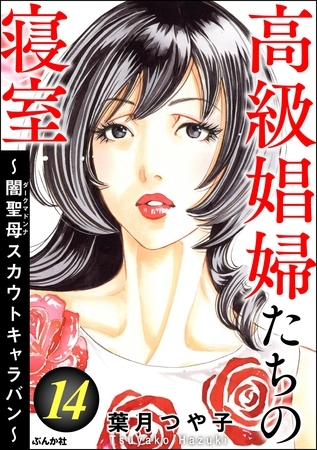 高級娼婦たちの寝室 ～闇聖母スカウトキャラバン～　（14）