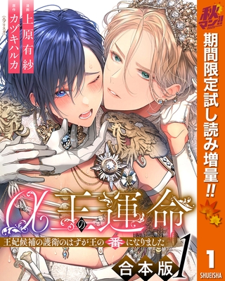 【合本版】α王の運命～王妃候補の護衛のはずが王の番になりました～【期間限定試し読み増量】 1