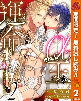 α王の運命～王妃候補の護衛のはずが王の番になりました～【期間限定無料】 2