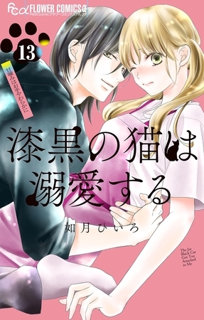 漆黒の猫は溺愛する【マイクロ】 13