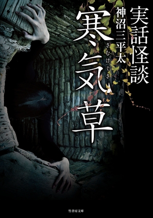 実話怪談　寒気草