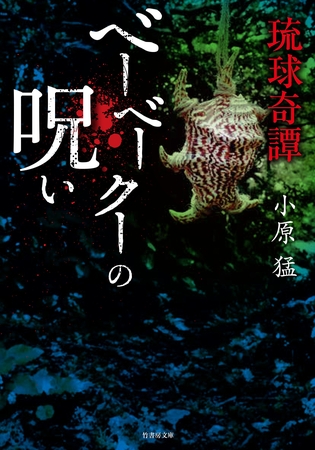 琉球奇譚 ベーベークーの呪い