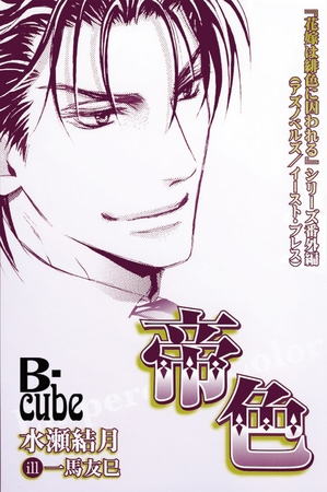 帝色～「花嫁は緋色に囚われる」シリーズ番外編～　まんが付き