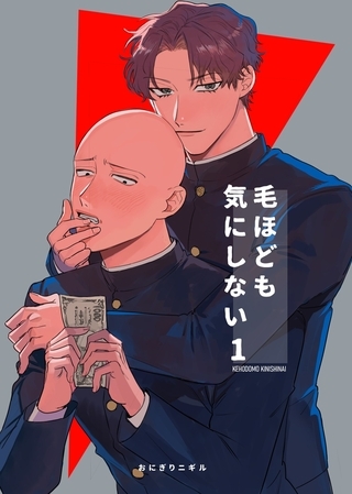 毛ほども気にしない １