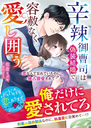 辛辣御曹司は偽装結婚で容赦なく愛し囲う～恋なんて忘れていたのに独占激愛されて～【SS付き】