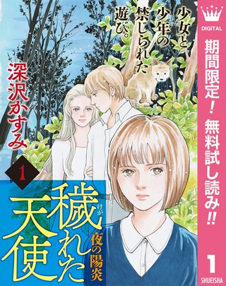 穢（けが）れた天使～夜の陽炎～【期間限定無料】 1