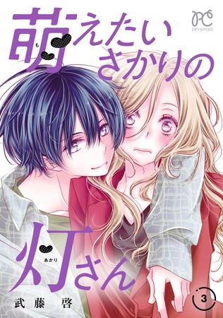 萌えたいさかりの灯さん　3