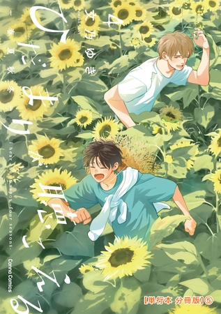 ひだまりが聴こえる－春夏秋冬－４【単行本 分冊版】５