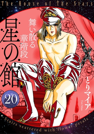 星の館20　舞い散る華階段