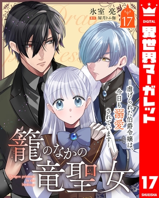 籠のなかの竜聖女 ―虐げられた伯爵令嬢は、今日も溺愛されています― 17