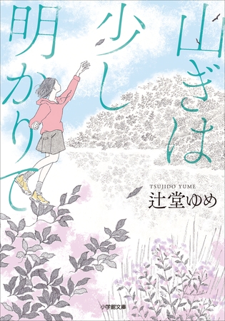 山ぎは少し明かりて
