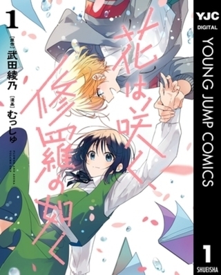 花は咲く、修羅の如く 9巻パック