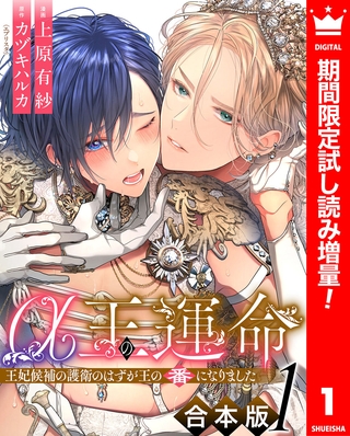 【合本版】α王の運命～王妃候補の護衛のはずが王の番になりました～【期間限定試し読み増量】 1