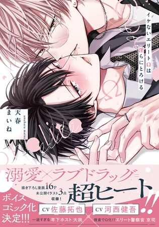 イケないエリートΩは淫らにとろける【電子限定特典つき】