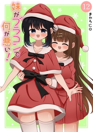 妹がブラコンで何が悪い！【同人版】(12)