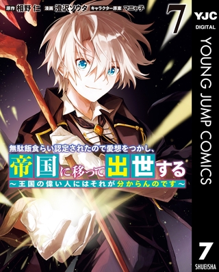 無駄飯食らい認定されたので愛想をつかし、帝国に移って出世する ～王国の偉い人にはそれが分からんのです～ 7
