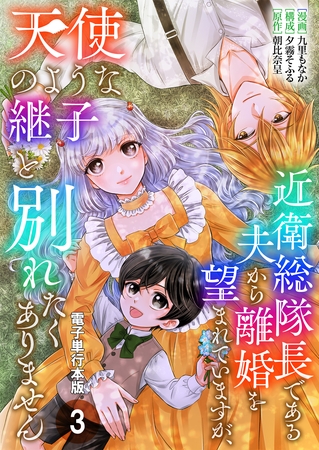 近衛総隊長である夫から離婚を望まれていますが、天使のような継子と別れたくありません【電子単行本版】 3