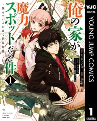 俺の家が魔力スポットだった件 ～住んでいるだけで世界最強～ 17巻パック