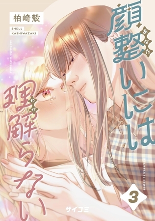 顔整いには理解らない 3