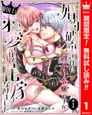 婚約破棄された辺境伯令嬢ですが、敵国王に求愛されて花嫁になりました【期間限定無料】 1