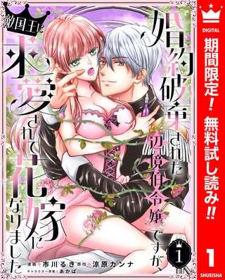 婚約破棄された辺境伯令嬢ですが、敵国王に求愛されて花嫁になりました【期間限定無料】 1