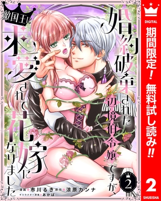 婚約破棄された辺境伯令嬢ですが、敵国王に求愛されて花嫁になりました【期間限定無料】 2